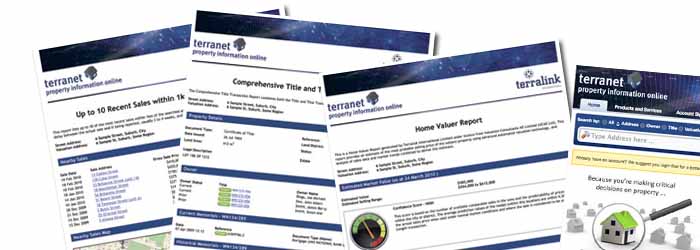 example reports